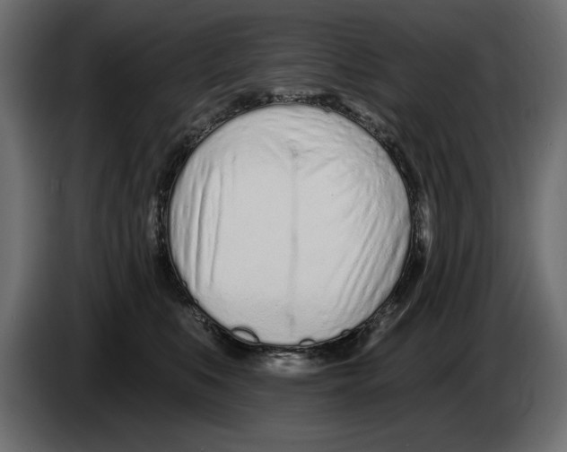 X0000082980519200703020259