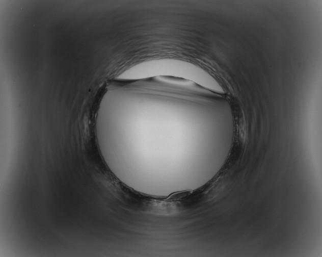 X0000082980520200703020259