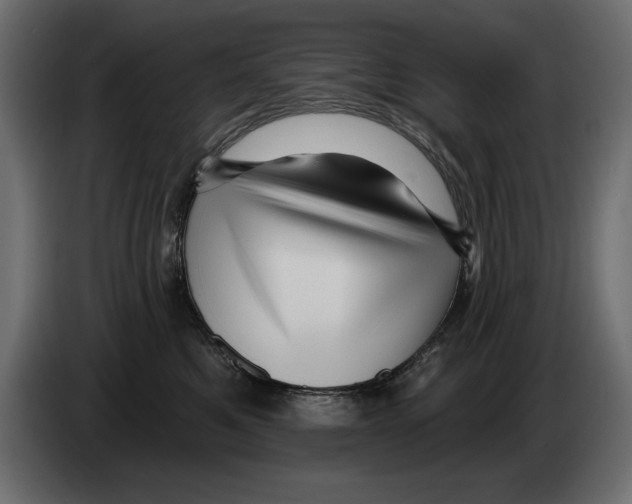 X0000082980521200703020259