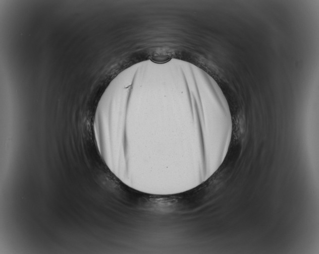 X0000082980522200703020259