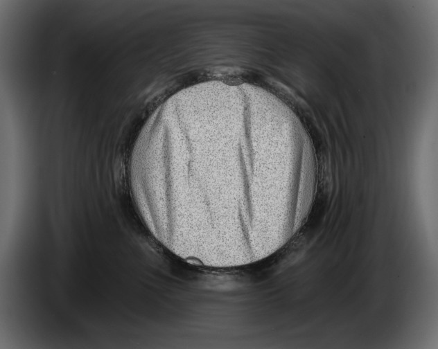 X0000082980523200703020259