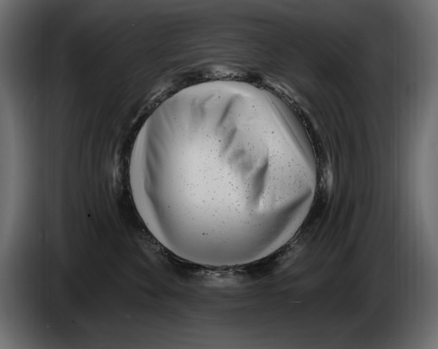 X0000082980524200703020259