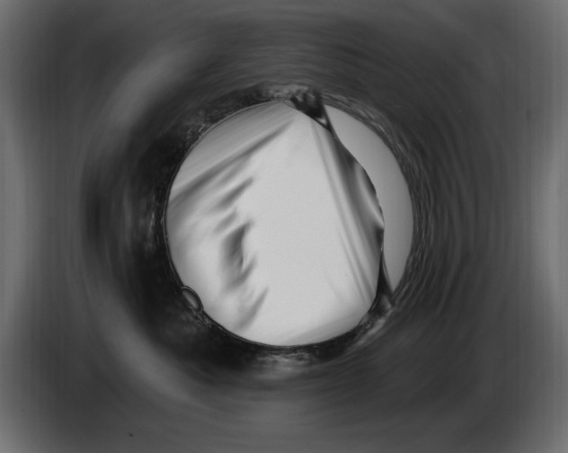 X0000082980525200703020259