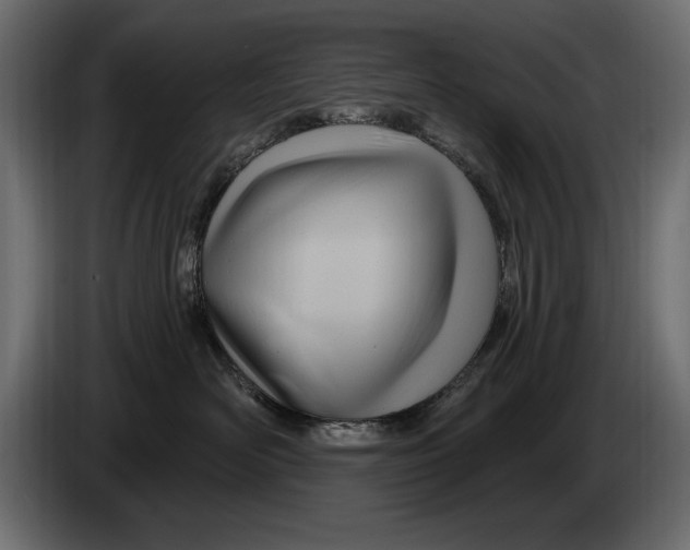 X0000082980526200703020259