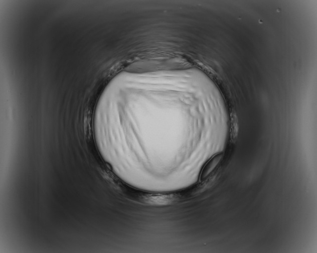 X0000082980527200703020259