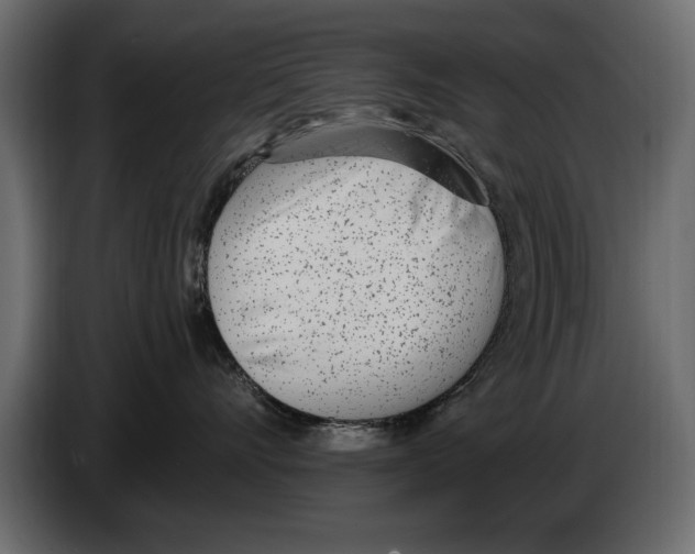 X0000082980528200703020259