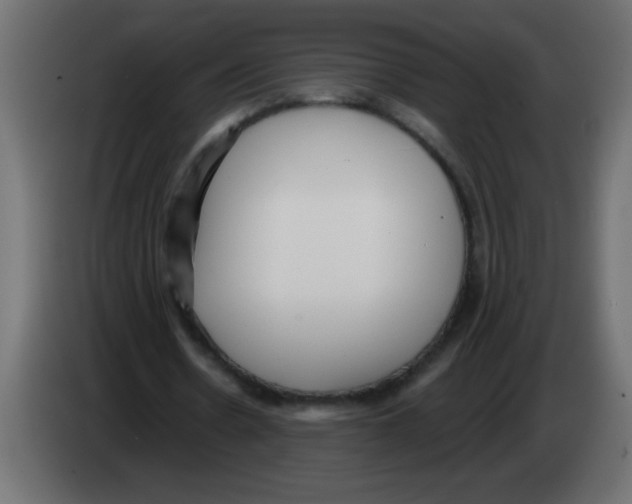 X0000082980530200703020259