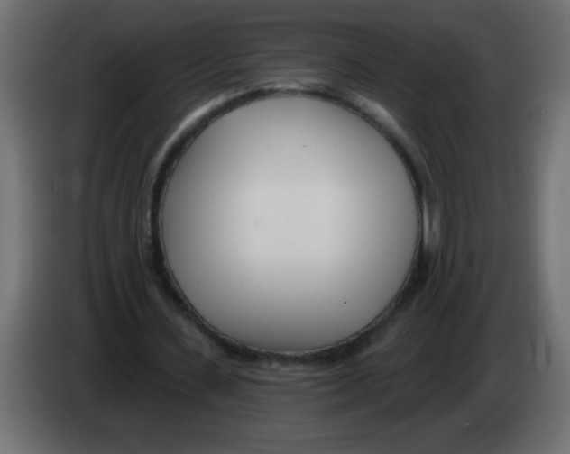 X0000082980531200703020259