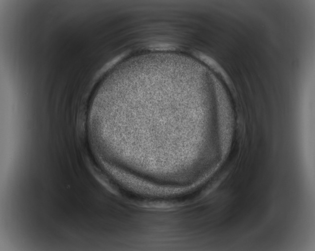 X0000082980533200703020259