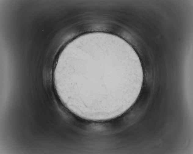 X0000082980534200703020259