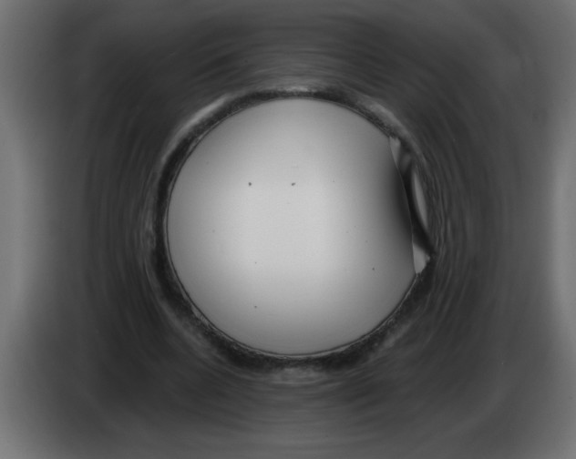 X0000082980536200703020259