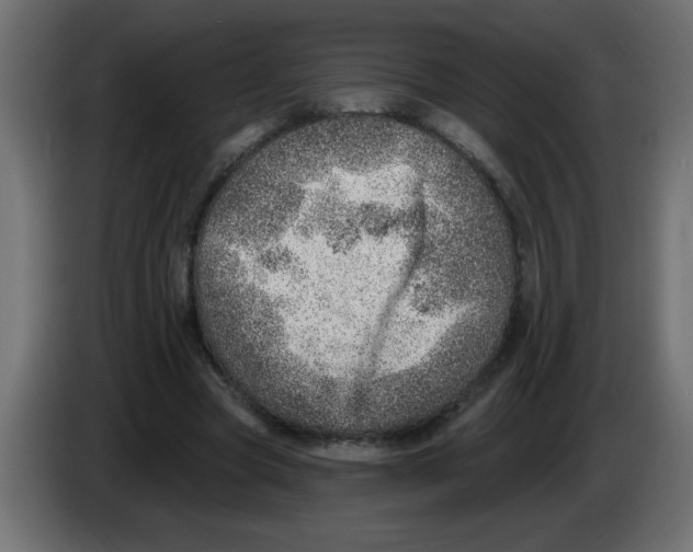 X0000082980537200703020259