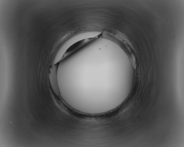 X0000082980538200703020259