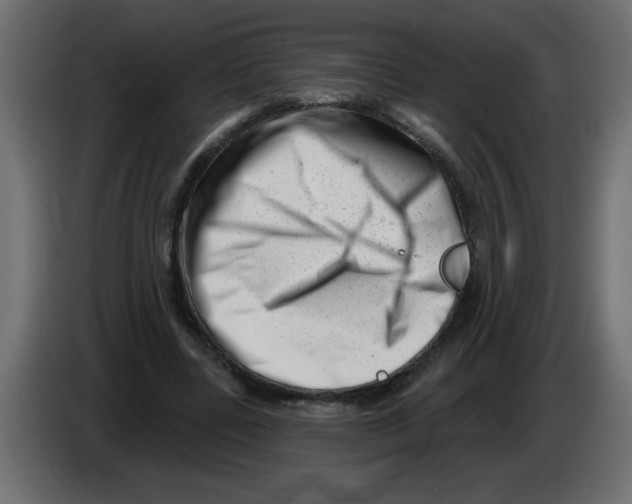 X0000082980539200703020259