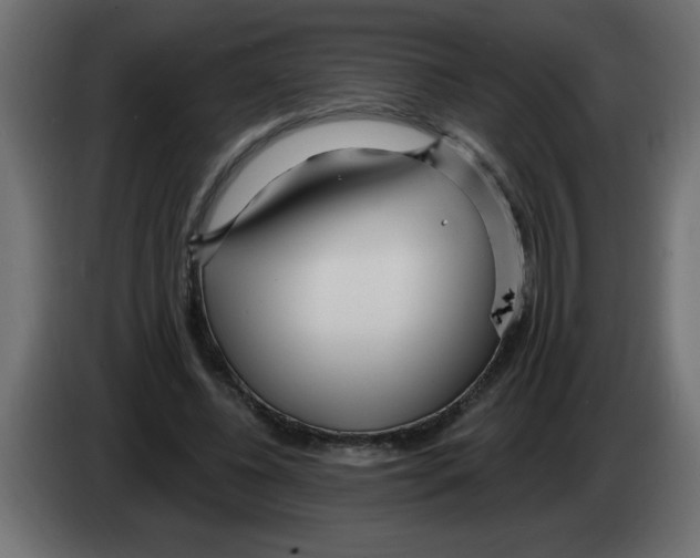 X0000082980540200703020259