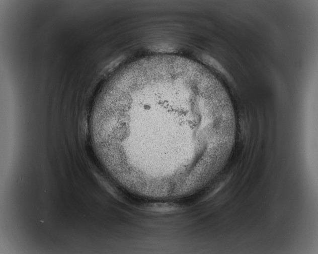 X0000082980541200703020259