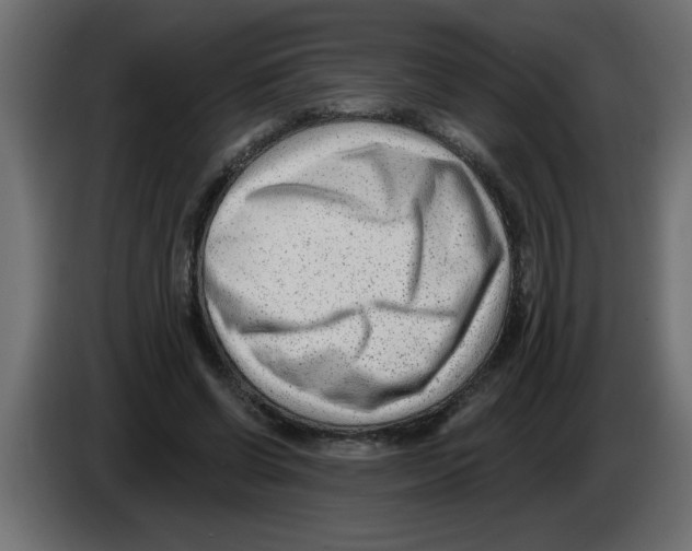 X0000082980542200703020259