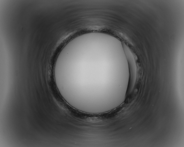 X0000082980544200703020259