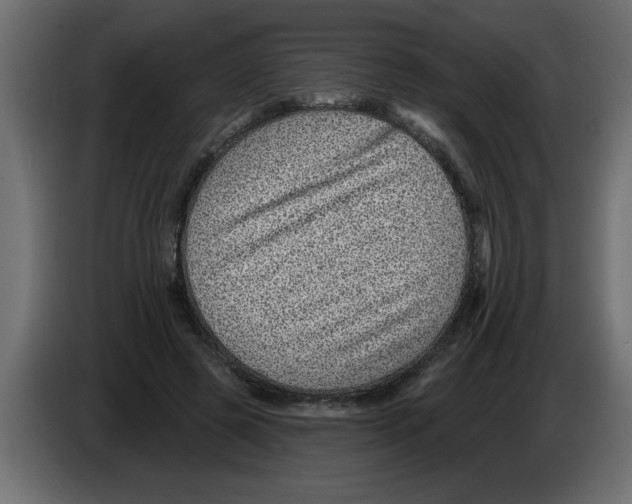 X0000082980545200703020259