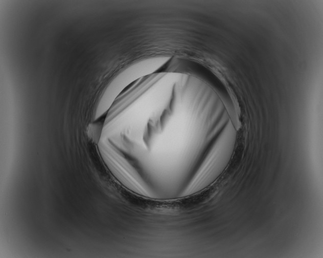 X0000082980546200703020259