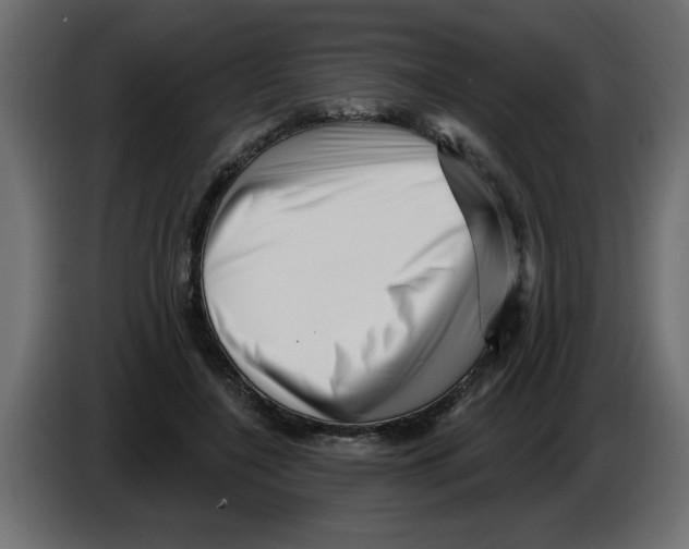 X0000082980548200703020259