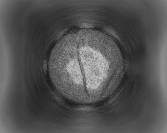 X0000082980549200703020259