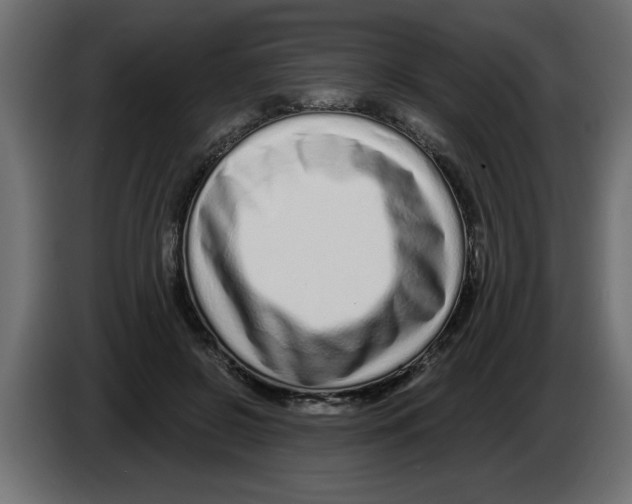 X0000082980550200703020259