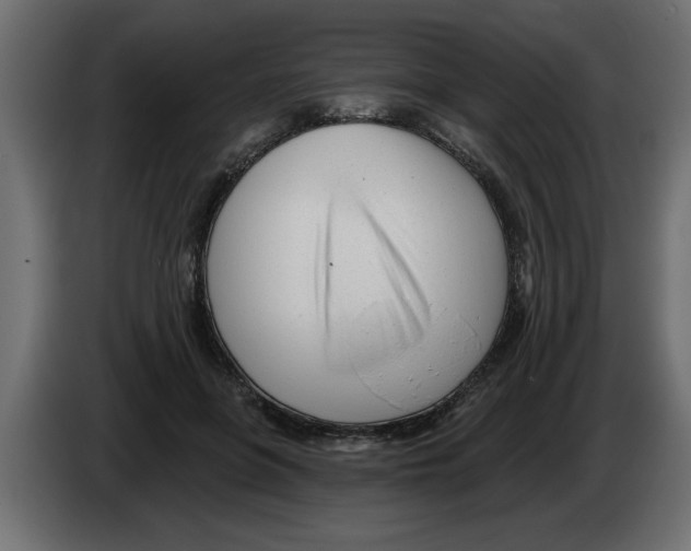 X0000082980551200703020259