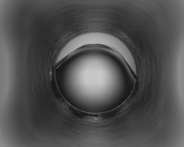 X0000082980552200703020259