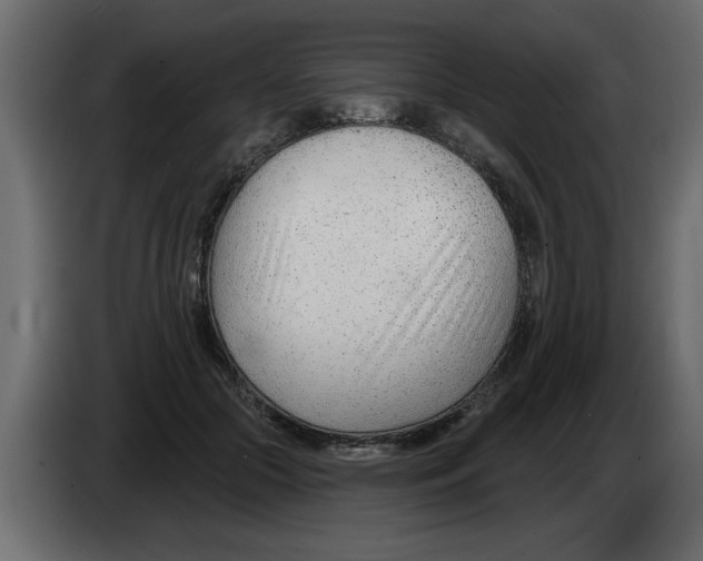 X0000082980553200703020259