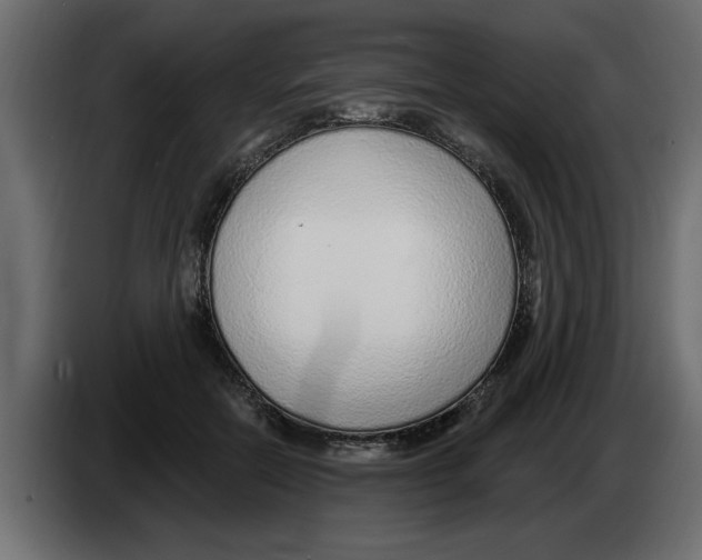 X0000082980554200703020259