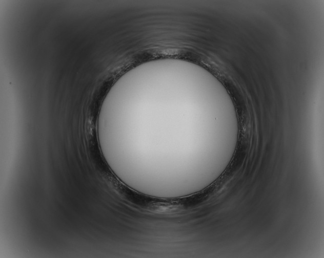 X0000082980555200703020259