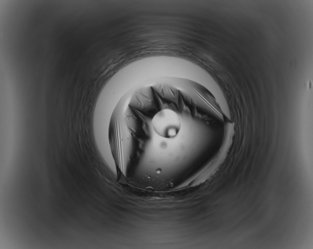 X0000082980556200703020259