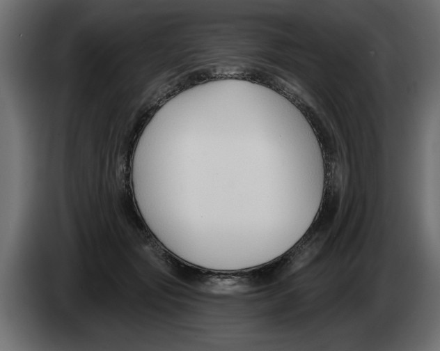 X0000082980557200703020259