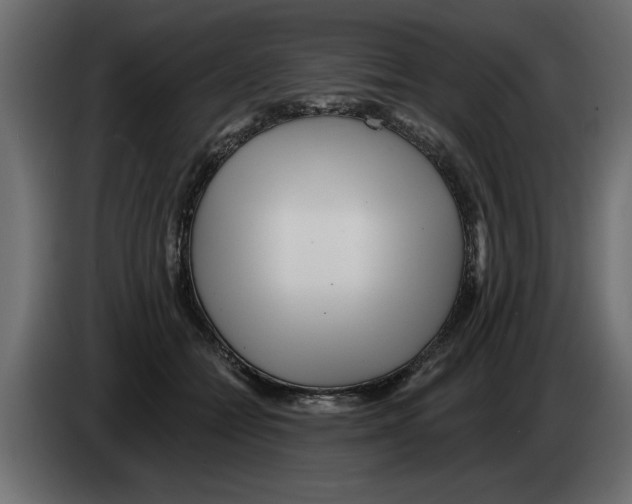 X0000082980558200703020259