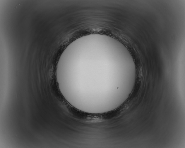 X0000082980559200703020259