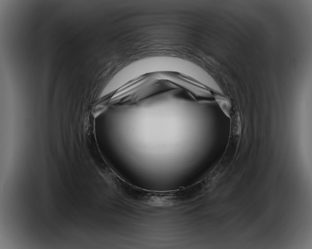 X0000082980560200703020259