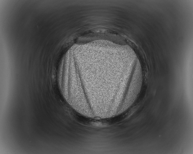 X0000082980561200703020259