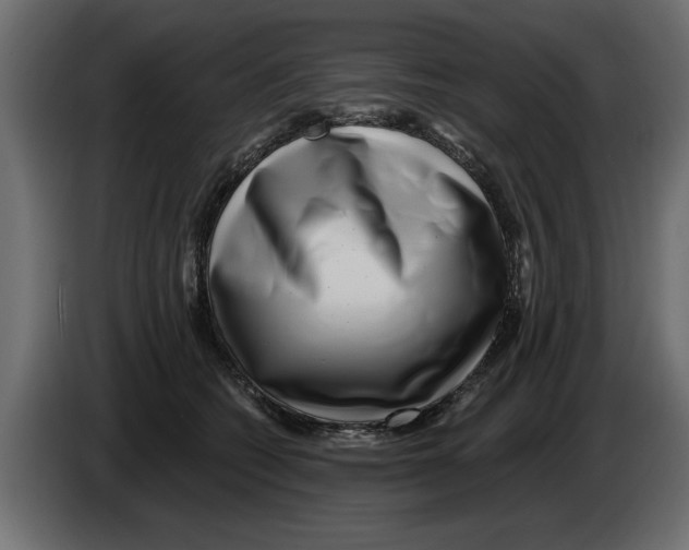 X0000082980562200703020259