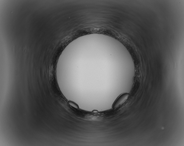 X0000082980563200703020259