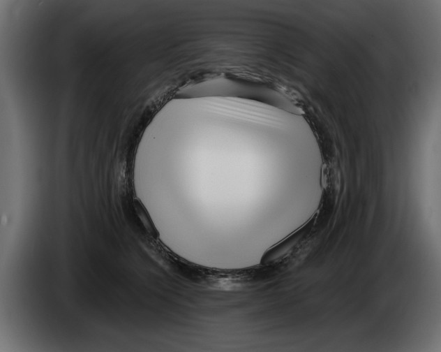 X0000082980564200703020259