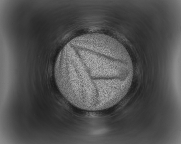 X0000082980565200703020259