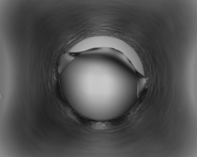 X0000082980566200703020259