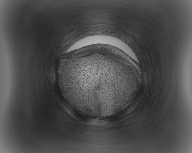 X0000082980568200703020259