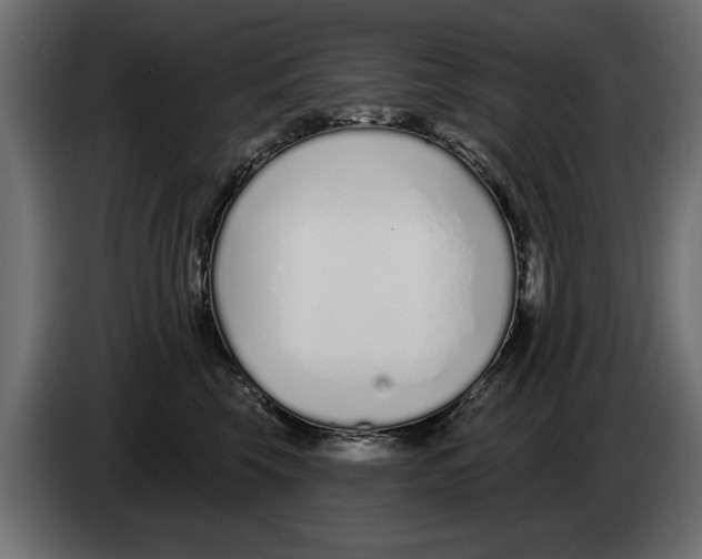 X0000082980569200703020259