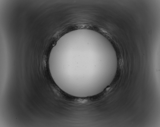 X0000082980570200703020259