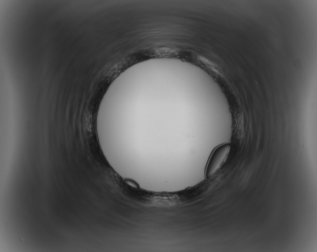 X0000082980571200703020259