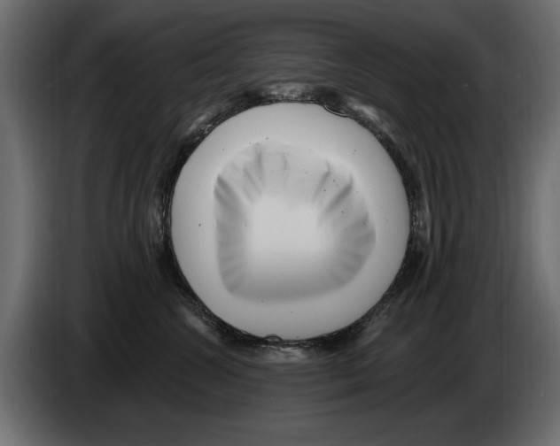 X0000082980572200703020259