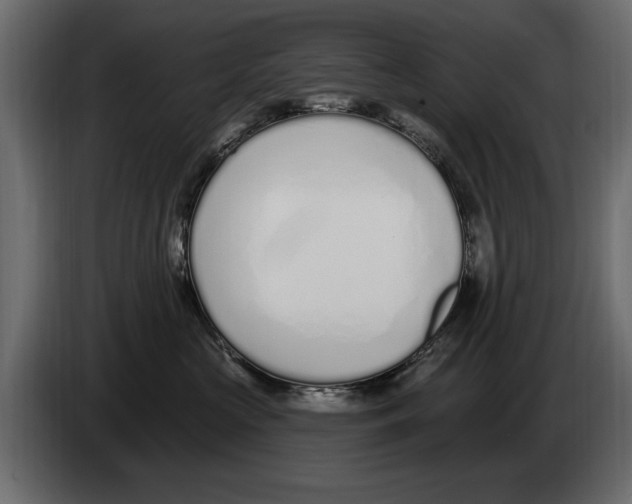 X0000082980573200703020259