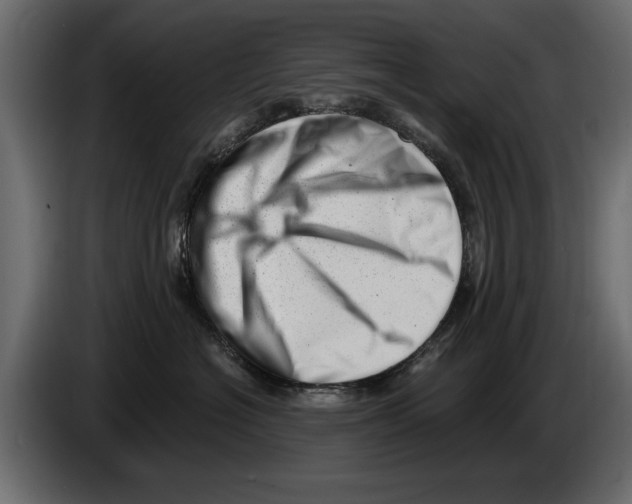 X0000082980574200703020259